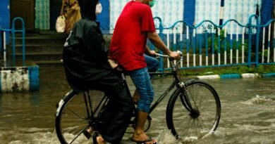 pexels biplab sau 10872328