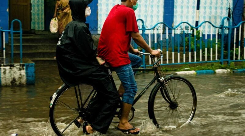 pexels biplab sau 10872328