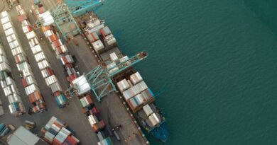 pexels rafael de campos 4256976