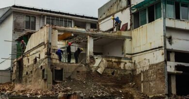 pexels totoo g 14003016