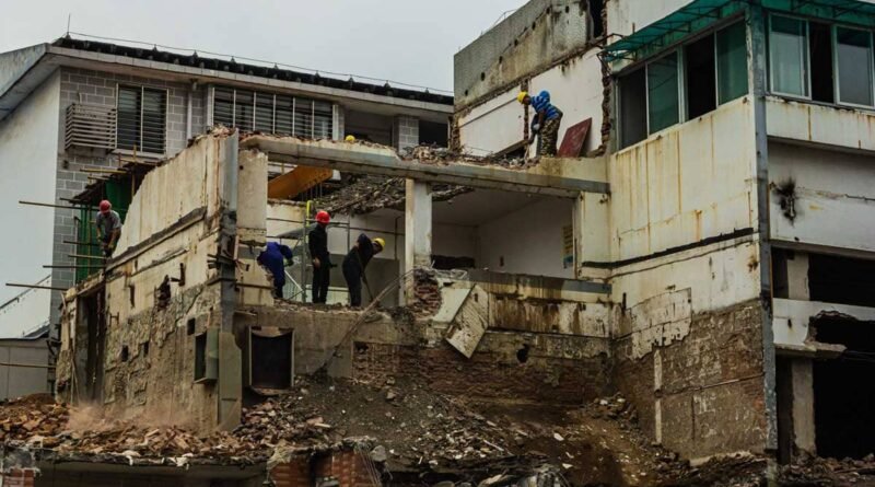 pexels totoo g 14003016