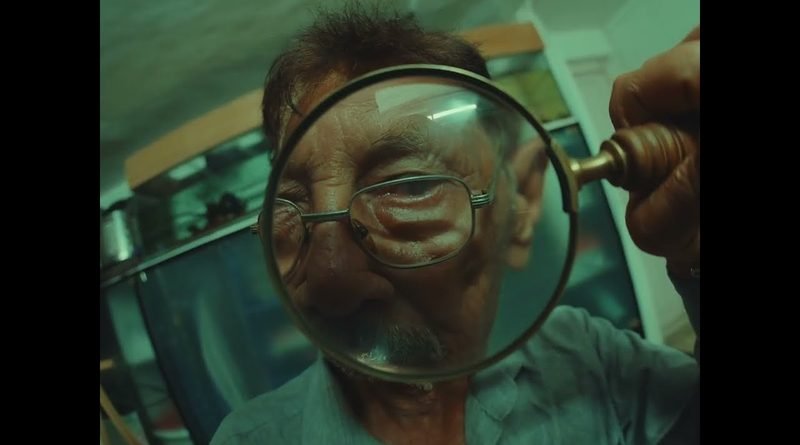 the artist short film by zia